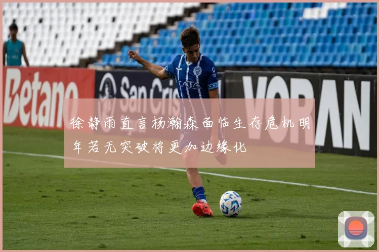 徐静雨直言杨瀚森面临生存危机明年若无突破将更加边缘化