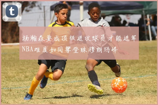 杨瀚森要成顶级进攻球员才能进军NBA难度如同攀登珠穆朗玛峰